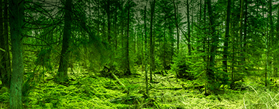 Panorama als hochaufl&ouml;sende Fotos und Motiv