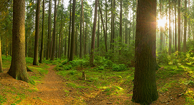 Panorama als hochaufl&ouml;sende Fotos und Motiv