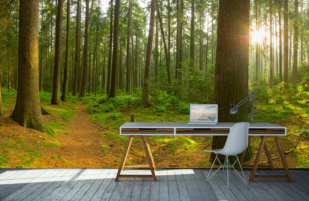 fichtel gebirge &ndash; Akustikbilder und Schallabsorber von SCHALLSAUGER&reg;