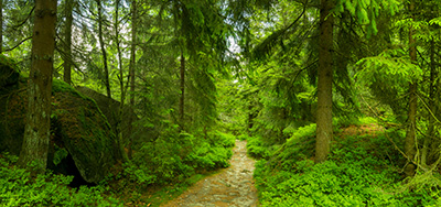 Panorama als hochaufl&ouml;sende Fotos und Motiv