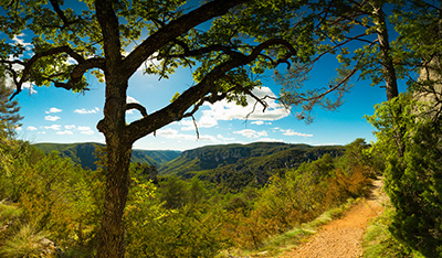 Gr&uuml;ne Bilder als hochaufl&ouml;sende Fotos und Motiv