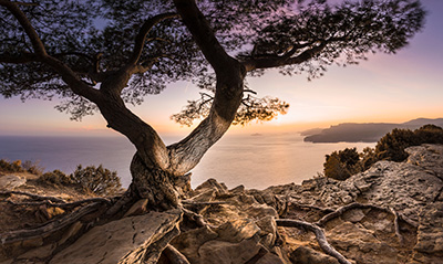 Lightbox spezial als hochaufl&ouml;sende Fotos und Motiv