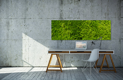 gr&uuml;ne pflanzenwand &ndash; Akustikbilder und Schallabsorber von SCHALLSAUGER&reg;