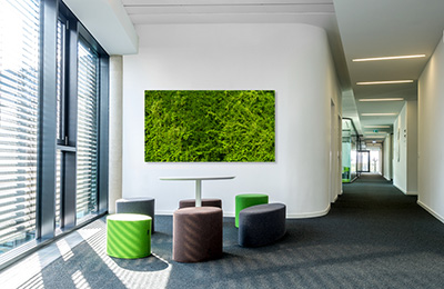 gr&uuml;ne pflanzenwand &ndash; Akustikbilder und Schallabsorber von SCHALLSAUGER&reg;