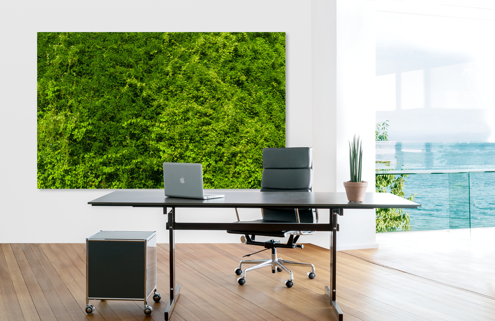 gr&uuml;ne pflanzenwand &ndash; Akustikbilder und Schallabsorber von SCHALLSAUGER&reg;