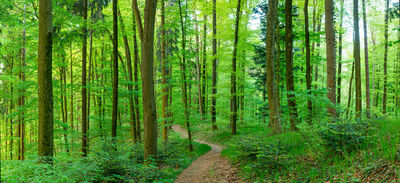 Panorama als hochaufl&ouml;sende Fotos und Motiv