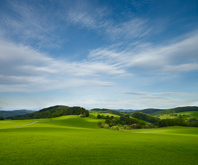 Gr&uuml;ne Bilder als hochaufl&ouml;sende Fotos und Motiv