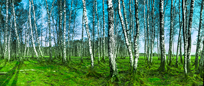 Panorama als hochaufl&ouml;sende Fotos und Motiv