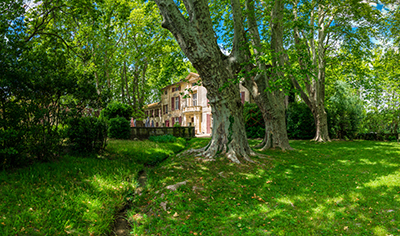 Gr&uuml;ne Bilder als hochaufl&ouml;sende Fotos und Motiv