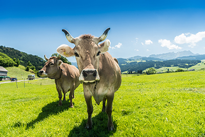 Akustikbilder Bergwelt &ndash; SCHALLSAUGER&reg; Licht und Akustik