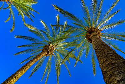 Gr&uuml;ne Bilder als hochaufl&ouml;sende Fotos und Motiv