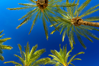 Gr&uuml;ne Bilder als hochaufl&ouml;sende Fotos und Motiv