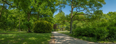 Gr&uuml;ne Bilder als hochaufl&ouml;sende Fotos und Motiv