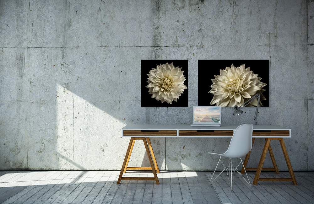 dahlie &ndash; Akustikbilder und Schallabsorber von SCHALLSAUGER&reg;