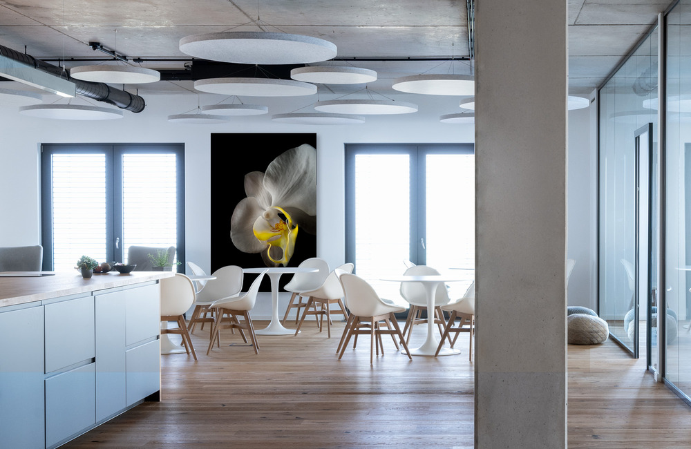 orchidee &ndash; Akustikbilder und Schallabsorber von SCHALLSAUGER&reg;