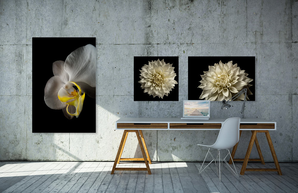 orchidee &ndash; Akustikbilder und Schallabsorber von SCHALLSAUGER&reg;