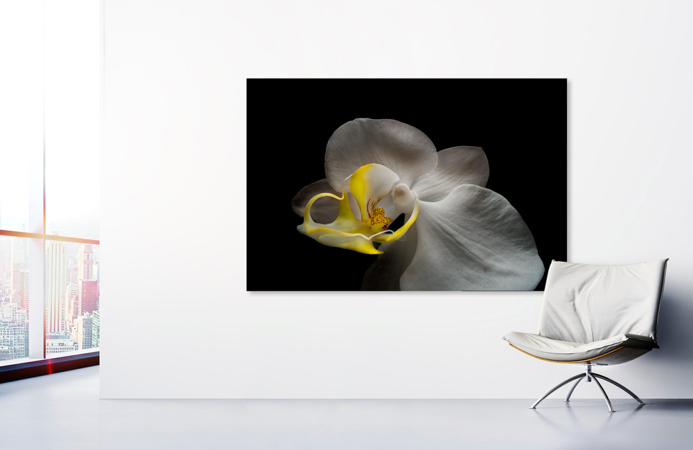 orchidee &ndash; Akustikbilder und Schallabsorber von SCHALLSAUGER&reg;