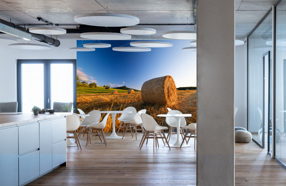 ernte hohenstoffeln &ndash; Akustikbilder und Schallabsorber von SCHALLSAUGER&reg;