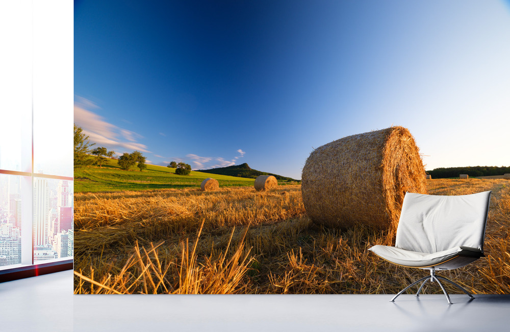 ernte hohenstoffeln &ndash; Akustikbilder und Schallabsorber von SCHALLSAUGER&reg;