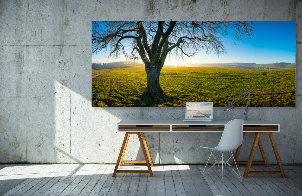 herbst baum &ndash; Akustikbilder und Schallabsorber von SCHALLSAUGER&reg;