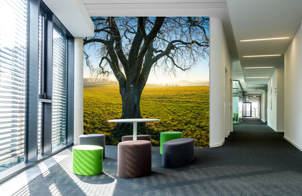 herbst baum &ndash; Akustikbilder und Schallabsorber von SCHALLSAUGER&reg;