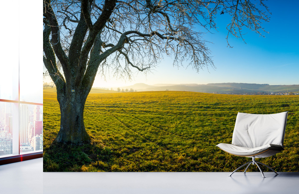 herbst baum &ndash; Akustikbilder und Schallabsorber von SCHALLSAUGER&reg;