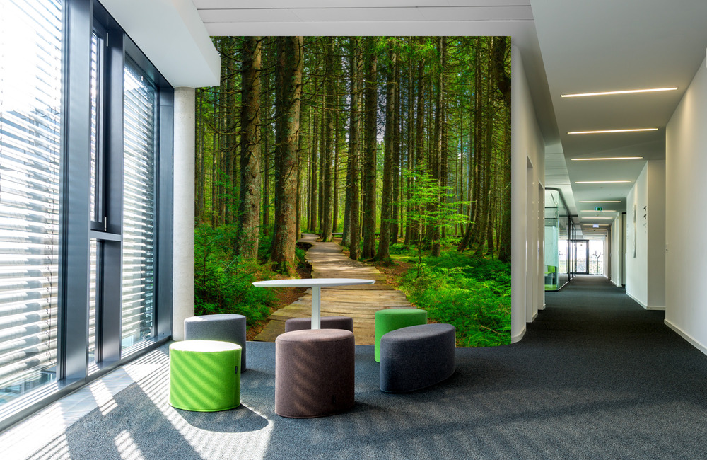 zauberwald bernau &ndash; Akustikbilder und Schallabsorber von SCHALLSAUGER&reg;