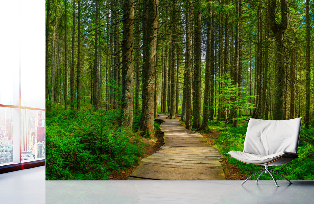 zauberwald bernau &ndash; Akustikbilder und Schallabsorber von SCHALLSAUGER&reg;