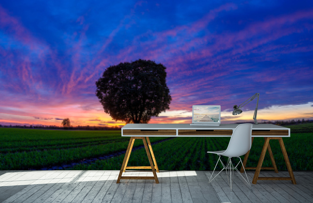 abendhimmel &ndash; Akustikbilder und Schallabsorber von SCHALLSAUGER&reg;