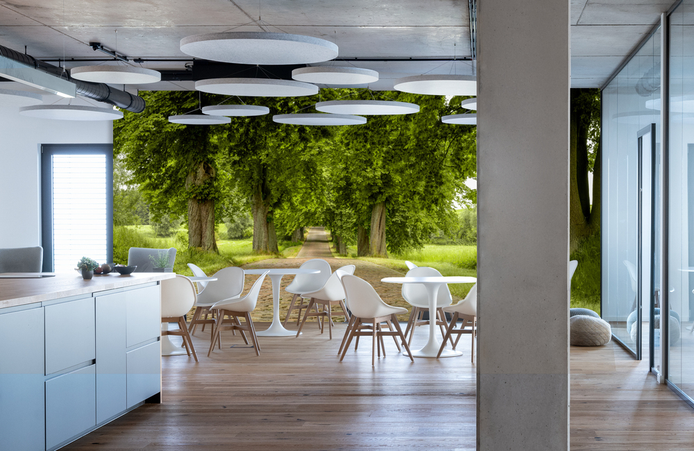 allee &ndash; Akustikbilder und Schallabsorber von SCHALLSAUGER&reg;