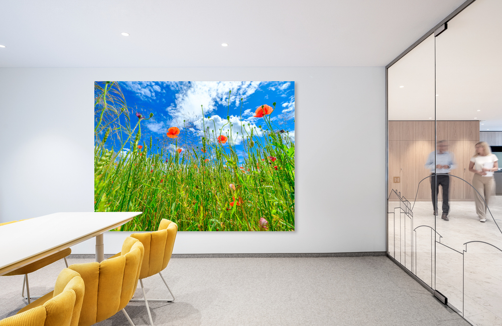 mohnblumen im kornfeld &ndash; Akustikbilder und Schallabsorber von SCHALLSAUGER&reg;