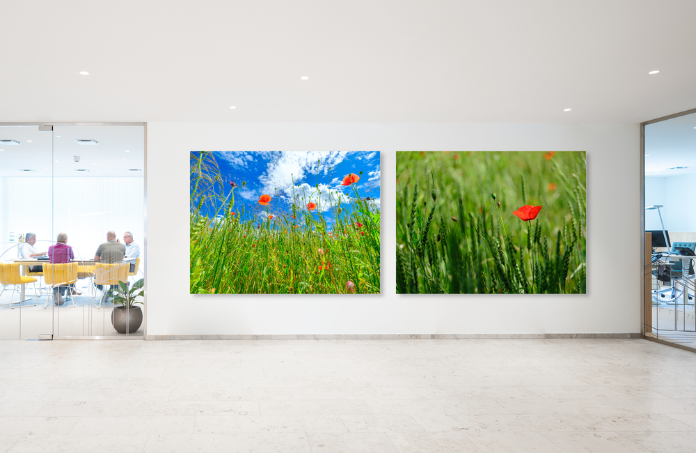 mohnblume_2 &ndash; Akustikbilder und Schallabsorber von SCHALLSAUGER&reg;