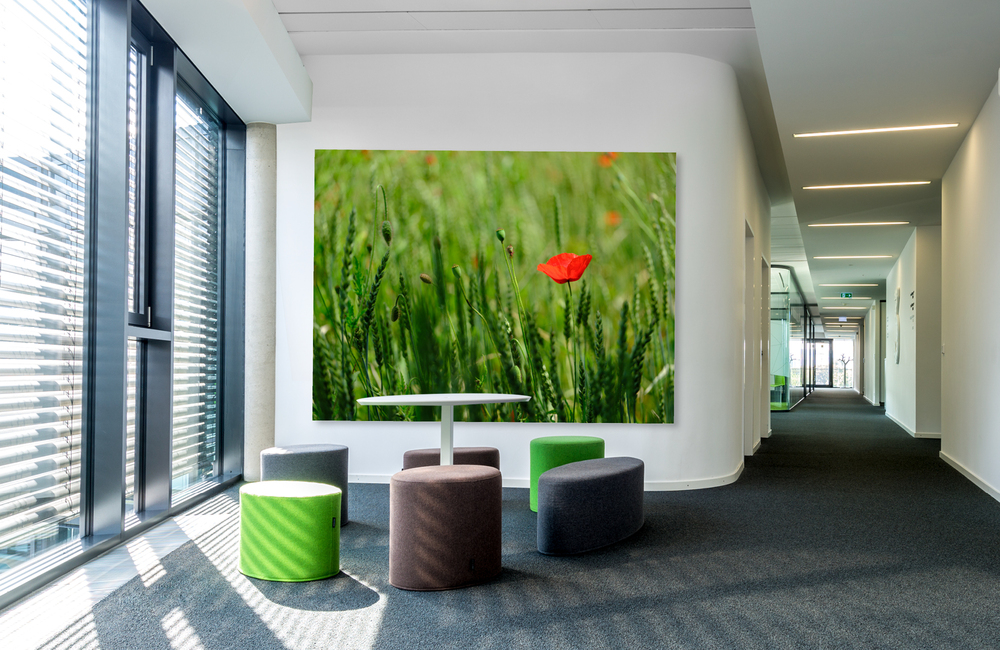 mohnblume_2 &ndash; Akustikbilder und Schallabsorber von SCHALLSAUGER&reg;