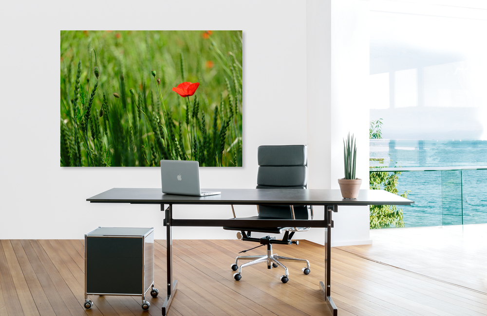 mohnblume_2 &ndash; Akustikbilder und Schallabsorber von SCHALLSAUGER&reg;