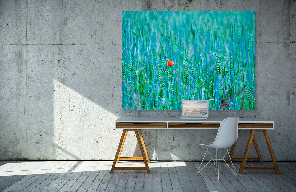 mohnblume_1 &ndash; Akustikbilder und Schallabsorber von SCHALLSAUGER&reg;