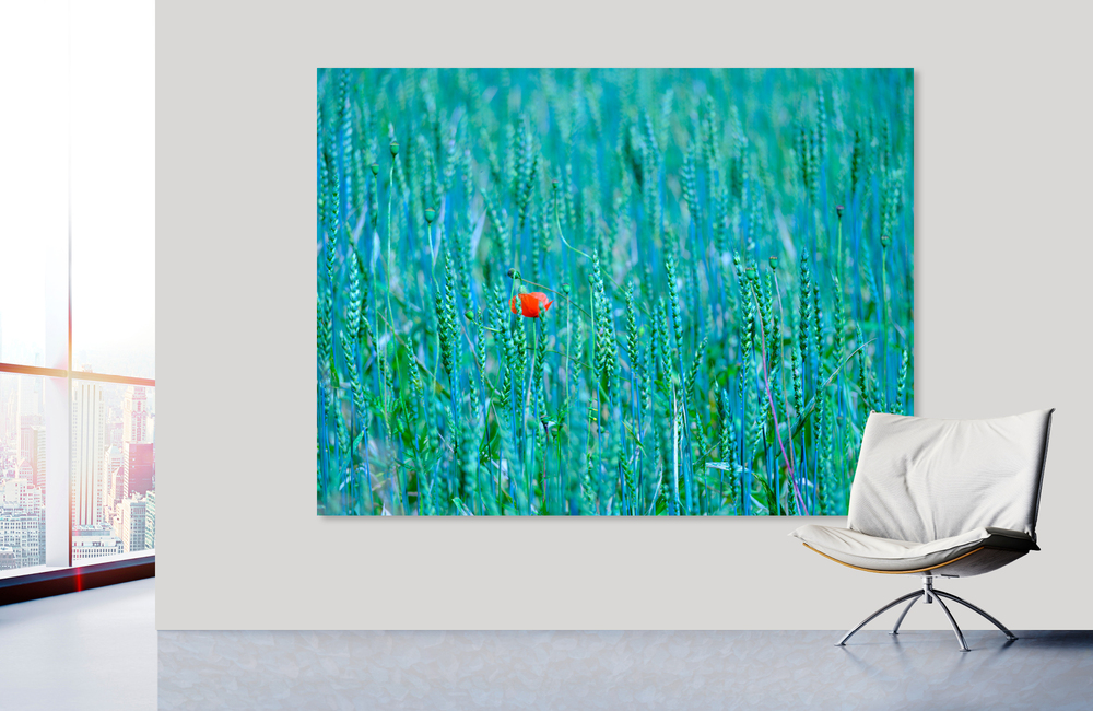 mohnblume_1 &ndash; Akustikbilder und Schallabsorber von SCHALLSAUGER&reg;