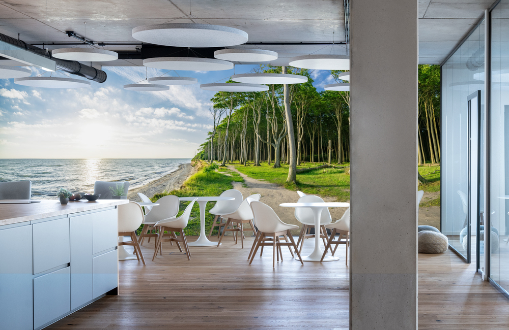 ostsee gespensterwald &ndash; Akustikbilder und Schallabsorber von SCHALLSAUGER&reg;