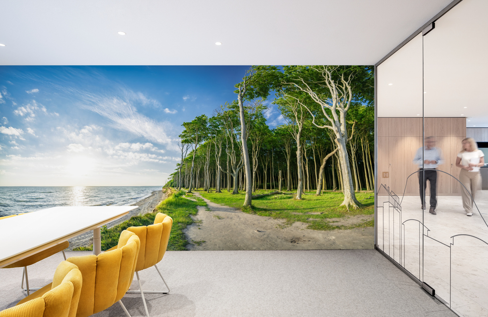 ostsee gespensterwald &ndash; Akustikbilder und Schallabsorber von SCHALLSAUGER&reg;