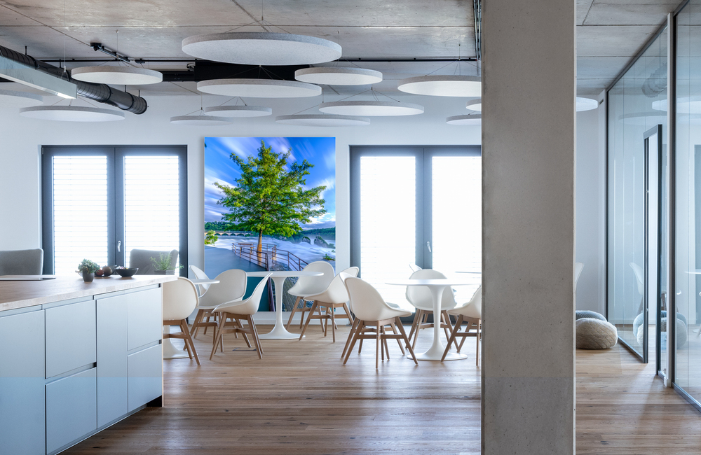 baum am rheinfall &ndash; Akustikbilder und Schallabsorber von SCHALLSAUGER&reg;