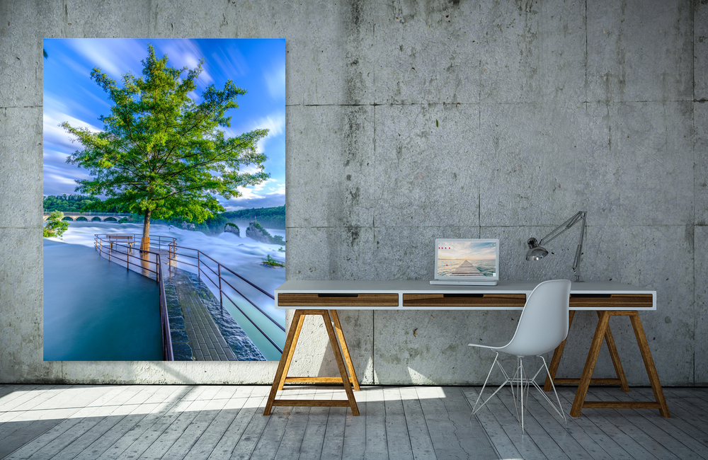 baum am rheinfall &ndash; Akustikbilder und Schallabsorber von SCHALLSAUGER&reg;