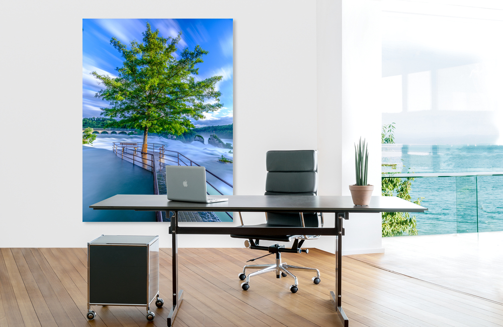 baum am rheinfall &ndash; Akustikbilder und Schallabsorber von SCHALLSAUGER&reg;