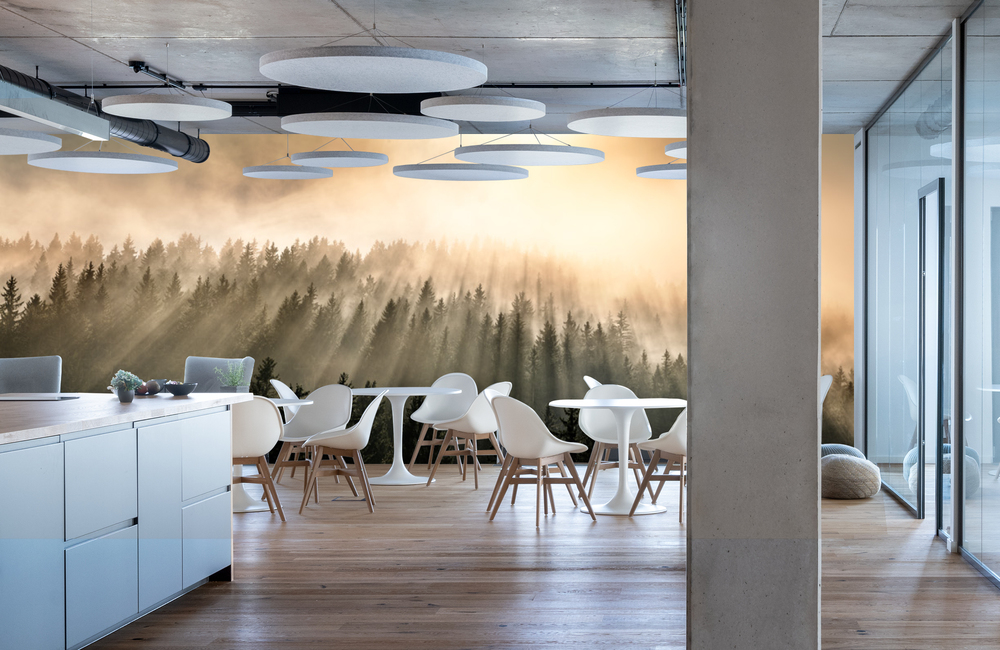 nebelwald_2 &ndash; Akustikbilder und Schallabsorber von SCHALLSAUGER&reg;