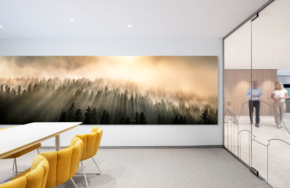 nebelwald_2 &ndash; Akustikbilder und Schallabsorber von SCHALLSAUGER&reg;