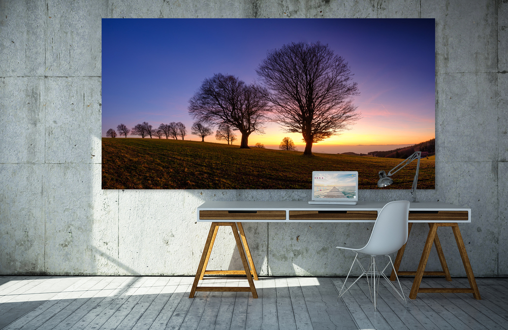 windbuchen_1 &ndash; Akustikbilder und Schallabsorber von SCHALLSAUGER&reg;