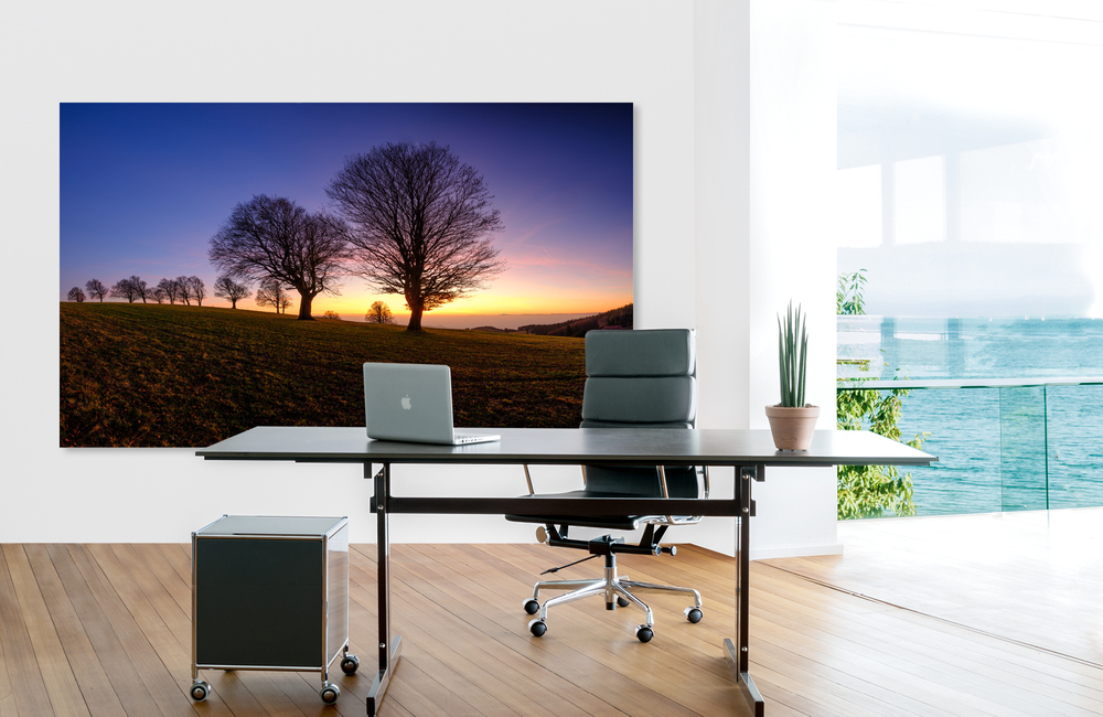 windbuchen_1 &ndash; Akustikbilder und Schallabsorber von SCHALLSAUGER&reg;