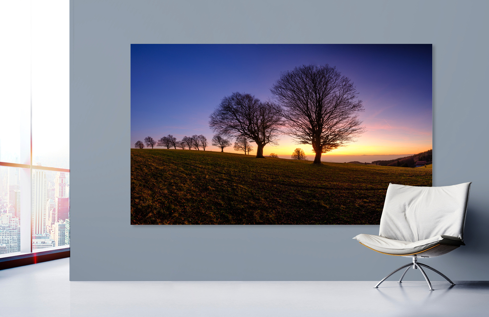 windbuchen_1 &ndash; Akustikbilder und Schallabsorber von SCHALLSAUGER&reg;