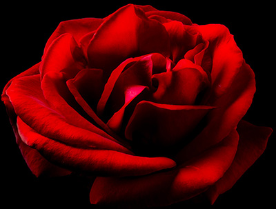 Floral als hochaufl&ouml;sende Fotos und Motiv