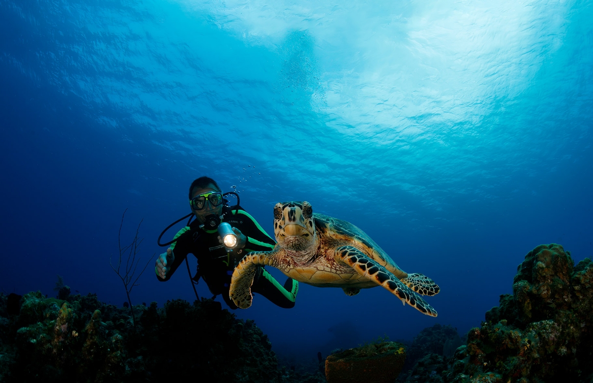 Gastronomie. Ein Erlebnis. &ndash; Akustikbilder und Schallabsorber von SCHALLSAUGER&reg;