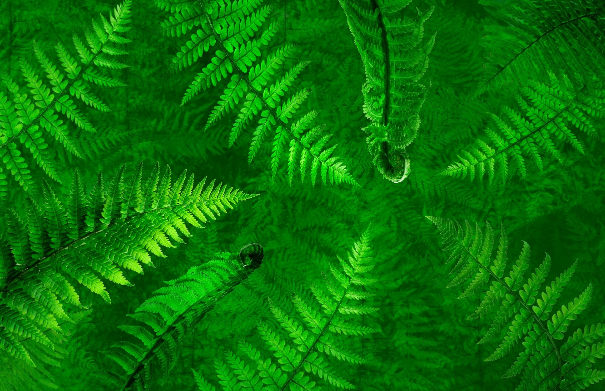Warum Menschen  lieber im Gr&uuml;nen leben.