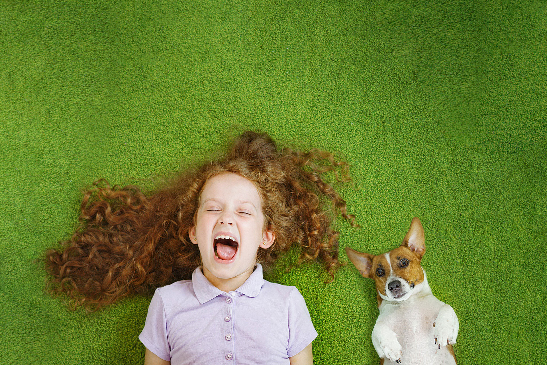 Was um Himmels Willen hat ein B&uuml;ro mit einer K&uuml;che zu tun? &ndash; Akustikbilder und Schallabsorber von SCHALLSAUGER&reg;